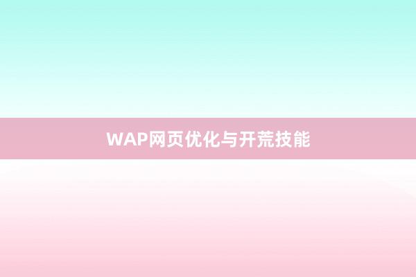 WAP网页优化与开荒技能