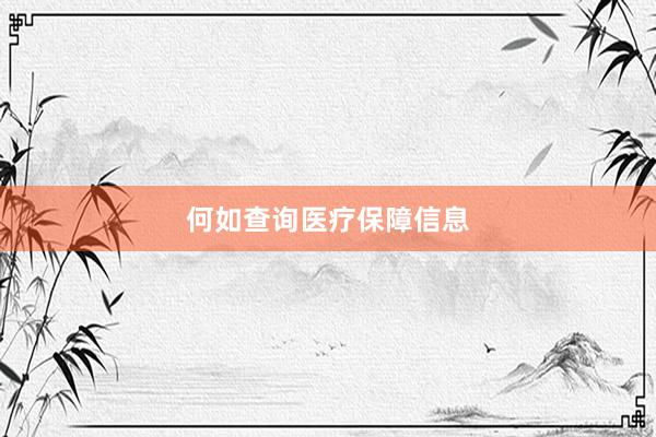何如查询医疗保障信息