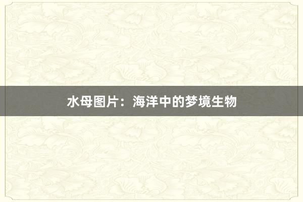 水母图片：海洋中的梦境生物