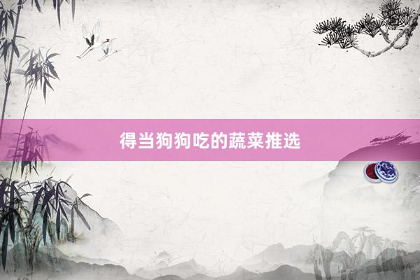 得当狗狗吃的蔬菜推选