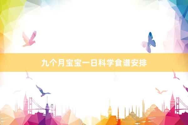 九个月宝宝一日科学食谱安排